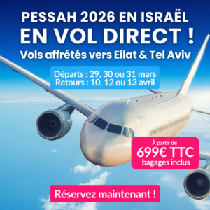_VOL PARTIR EN ISRAEL (6)