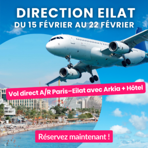 _VOL PARTIR EN ISRAEL (7)